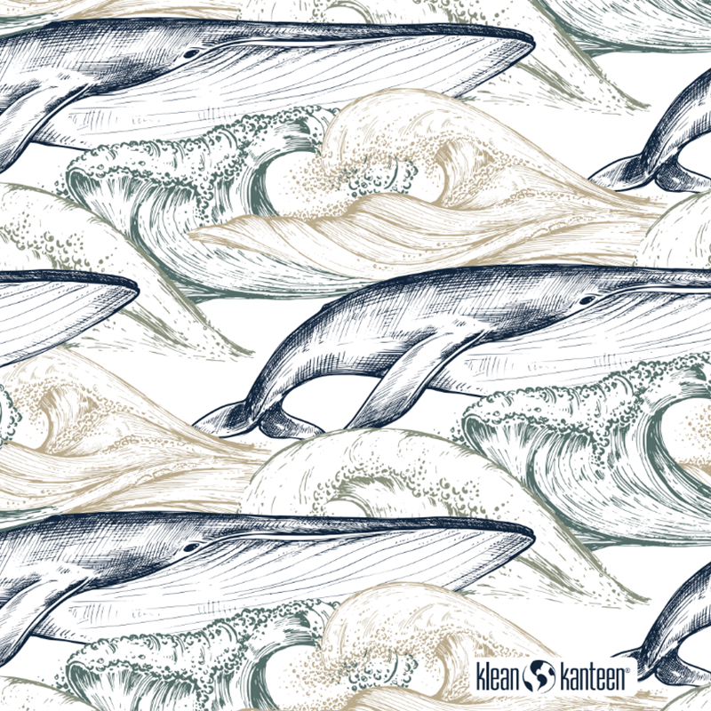 20oz-tkwide-with-twist-cap-ocean-day-y5 20oz_tkwide_bottle_seasonal_ocean_day_whale_artwork_square.png