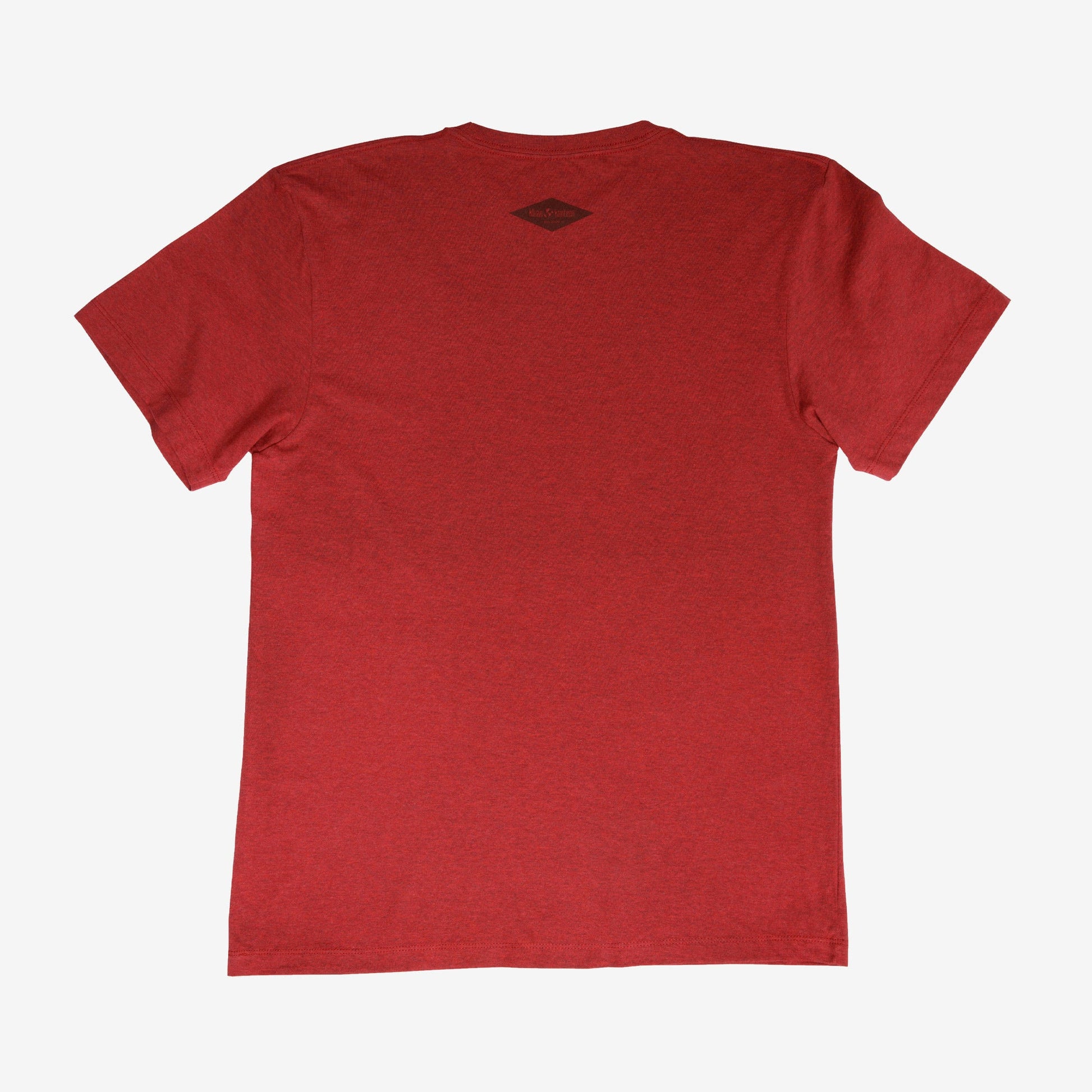 backyard-t-shirt-f6 Shirt_Mtn_Back.jpg